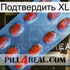 Подтвердить XL 06